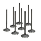Stainless Steel Black Nitride Intake Valves for VAG EA113 - Oversize +1mm